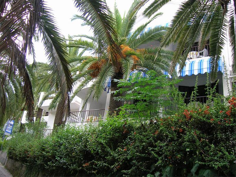 Apartmani I Sobe Goca Herceg Novi Exterior photo