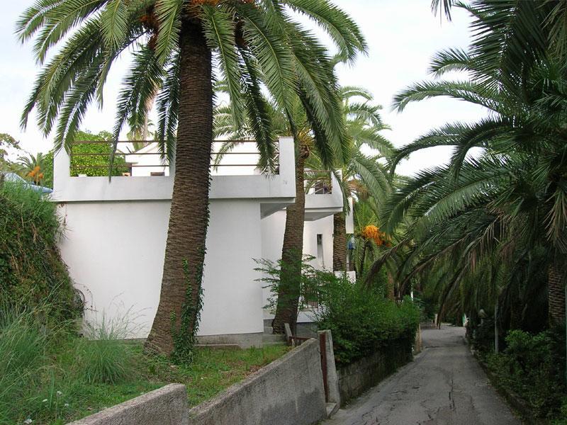 Apartmani I Sobe Goca Herceg Novi Exterior photo