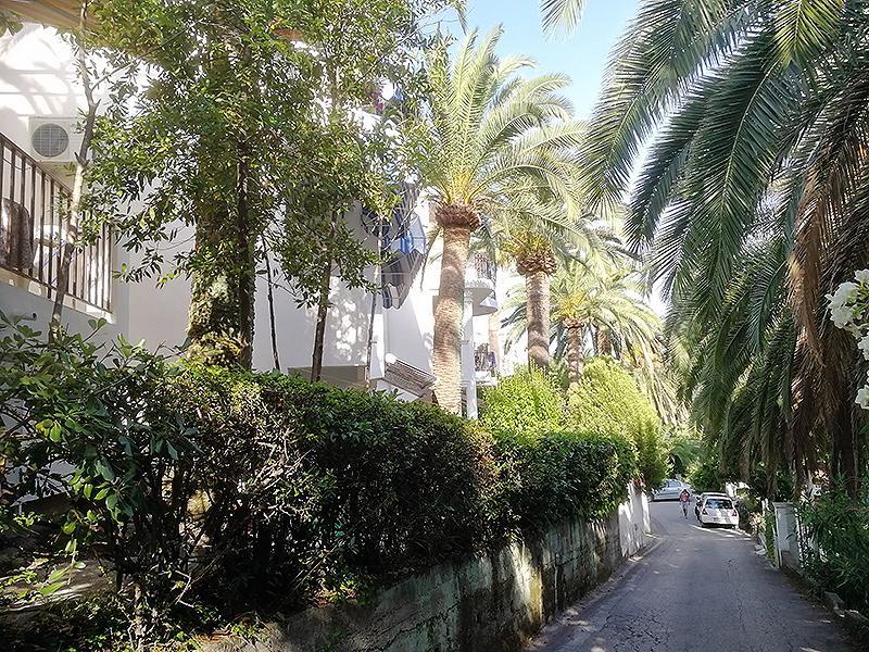 Apartmani I Sobe Goca Herceg Novi Exterior photo