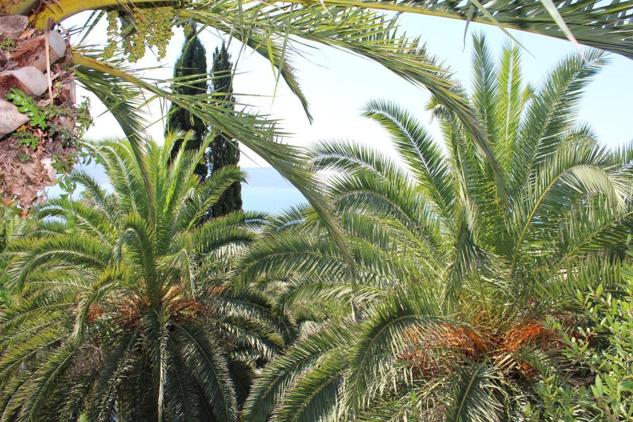 Apartmani I Sobe Goca Herceg Novi Exterior photo