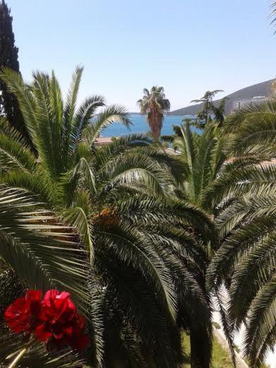 Apartmani I Sobe Goca Herceg Novi Exterior photo